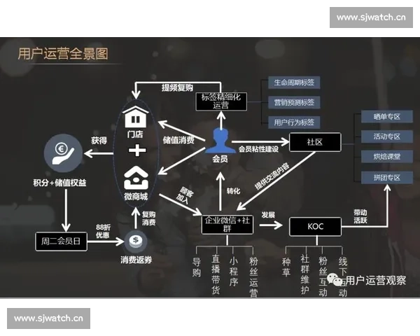 体育俱乐部运营策略与会员增长模式创新研究与实践探索